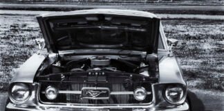 # 50 points for why you should buy a MUSTANG