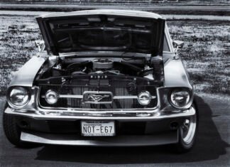 # 50 points for why you should buy a MUSTANG