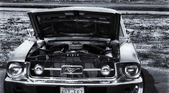# 50 points for why you should buy a MUSTANG