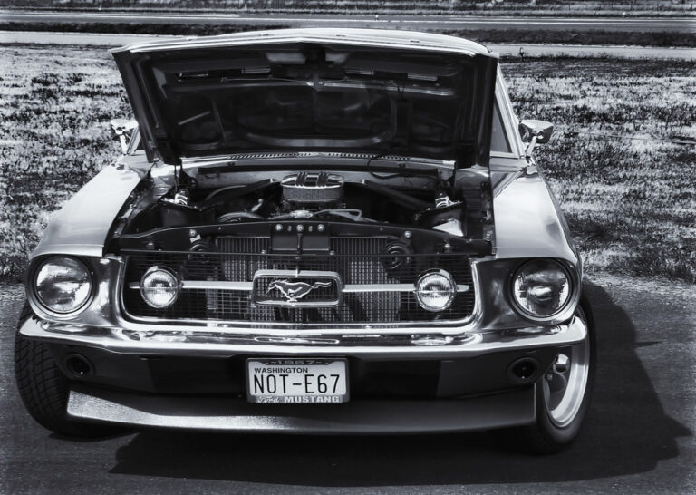 # 50 points for why you should buy a MUSTANG