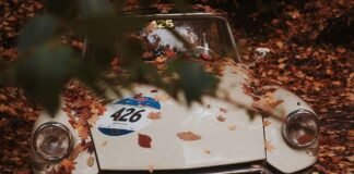 8 of the Rarest American Muscles in the world