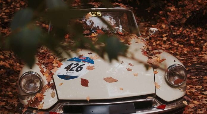 8 of the Rarest American Muscles in the world