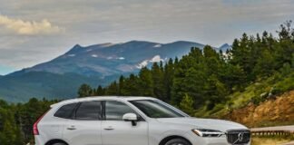 Do you know what are the Best Cars for pet owners? Best Cars for pet owners