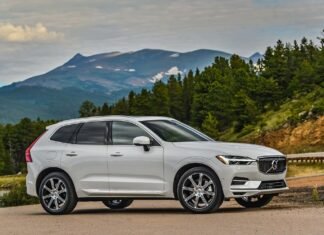 Do you know what are the Best Cars for pet owners? Best Cars for pet owners