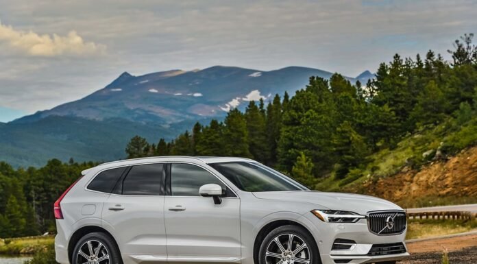 Do you know what are the Best Cars for pet owners? Best Cars for pet owners