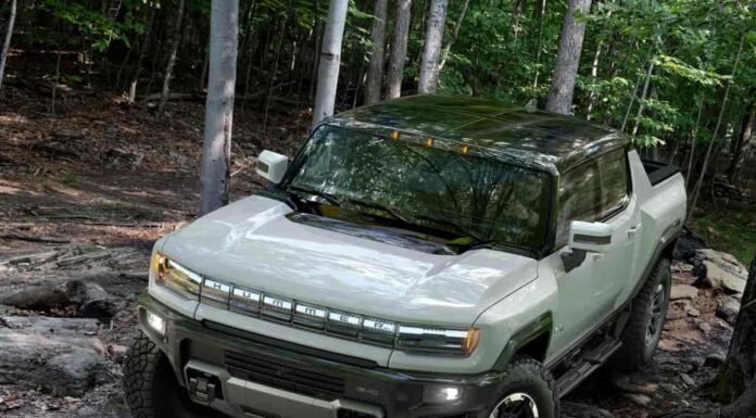 Do you know the best 5 electric trucks that are gaining traction quickly?