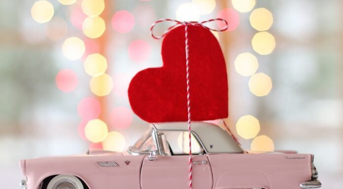 Tips For Living in Your Car – Amazing Tips for Living in Your Car Comfortably! Tips For Living in Your Car