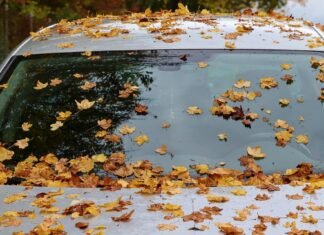 Best Way to Clean Windshield Best Way to Clean Windshield