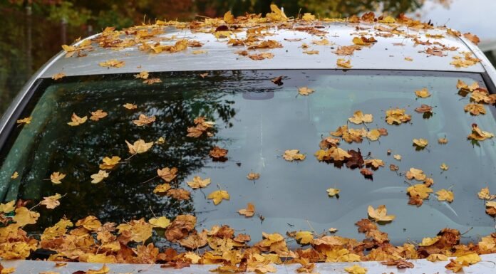 Best Way to Clean Windshield Best Way to Clean Windshield
