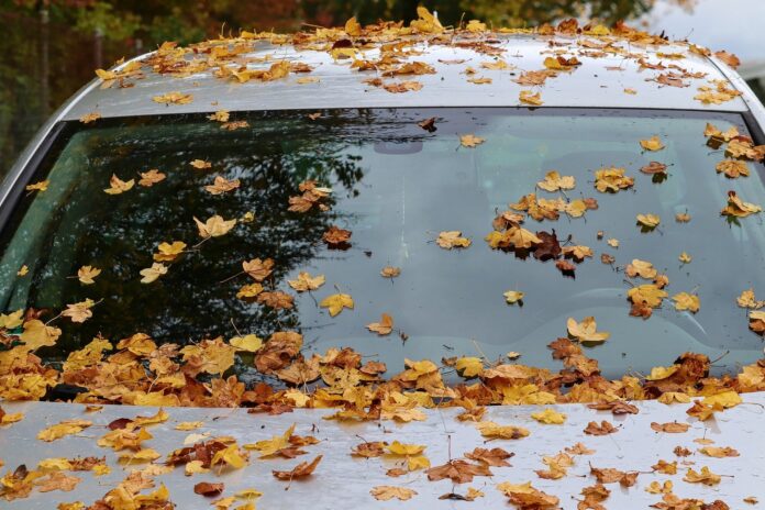 Best Way to Clean Windshield 