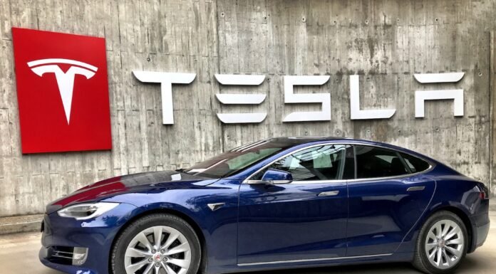 Will Tesla Cars Appreciate in Value? Tesla Cars