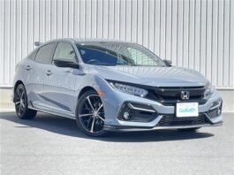 Sonic Grey color